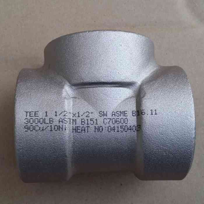 Alloy Steel Socket weld Butt weld Pipe Fitting with Socket-welding Bosses for Oil and Gas Systems