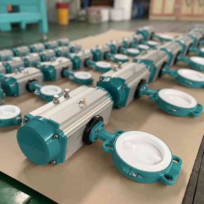 321H Stainless Steel Butt-weld Check Valve Industrial Pipeline Valve for High-Temp Industrial Pipes - Image 2