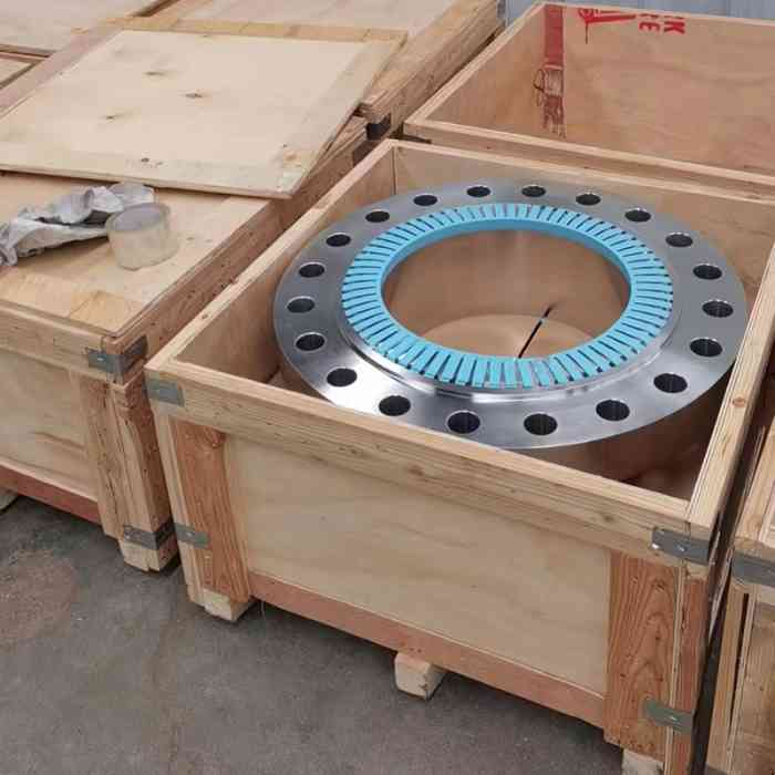 Durable Forged Stainless Steel Flange, ANSI Standard, Suitable for Oil & Gas Pipelines, High - Pressure Rating for Tough Environments - Image 5