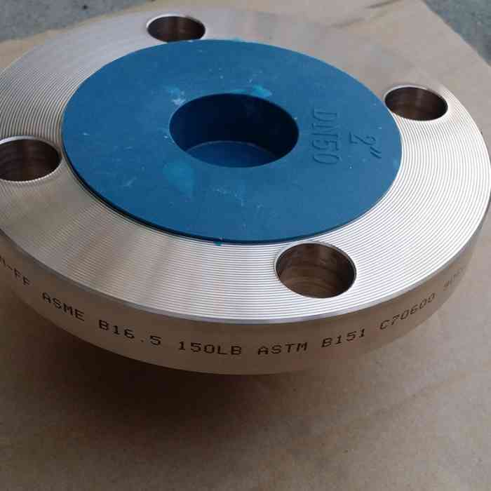 Durable Forged Stainless Steel Flange, ANSI Standard, Suitable for Oil & Gas Pipelines, High - Pressure Rating for Tough Environments