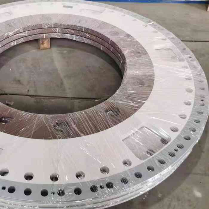 Durable Forged Stainless Steel Flange, ANSI Standard, Suitable for Oil & Gas Pipelines, High - Pressure Rating for Tough Environments - Image 3