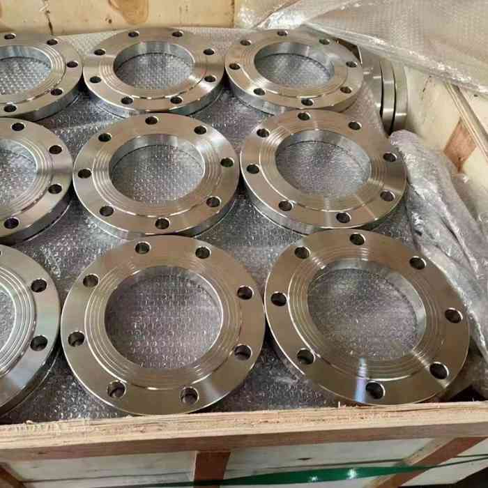 Forged Stainless Steel Industrial Pipeline Flange WN Flange SO Flange SW Flange Anti-Corrosion for Coastal Pipelines